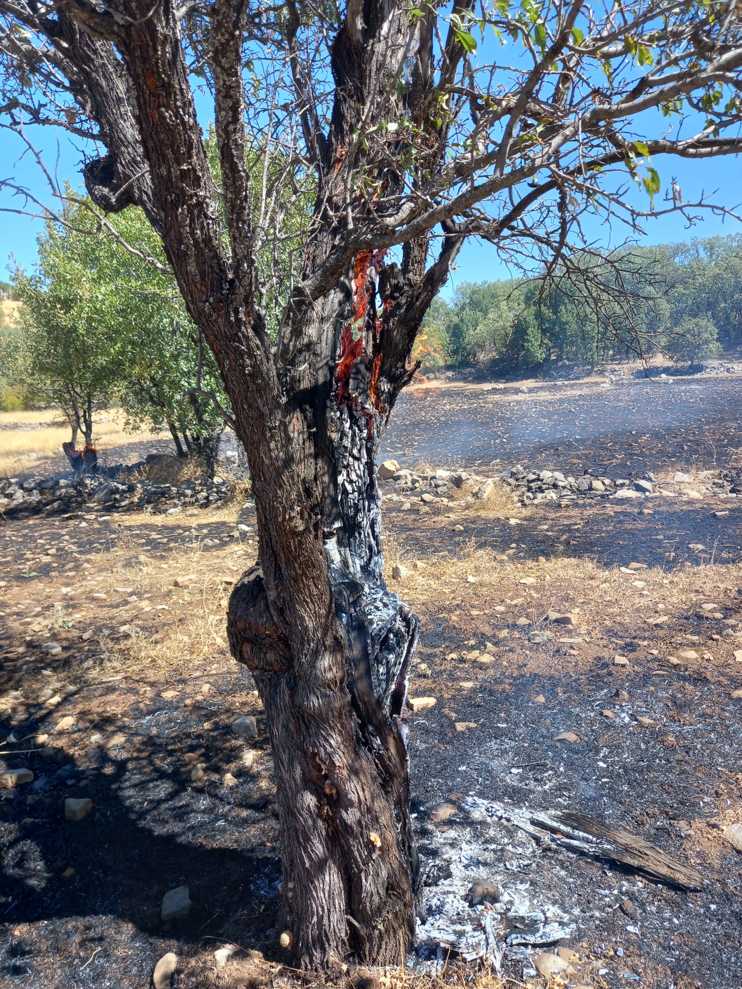 ​Yöre Halkından Büyük Dayanışma