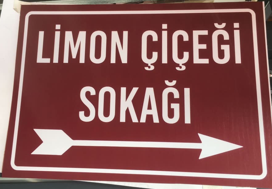 Limon Çiçekleri: Acı Tatlı Hayatlar’ Filmi Mersin Erdemli’de Hayat Buluyor… 