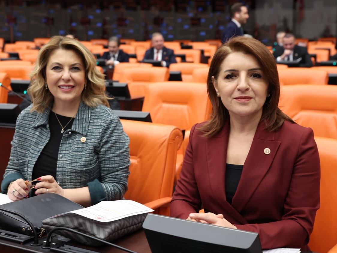 GÜLCAN KIŞ MECLİS’TE KONUŞTU: “ÇOCUK CİNAYETLERİ SİSTEMİN ÇÖKÜŞÜDÜR”