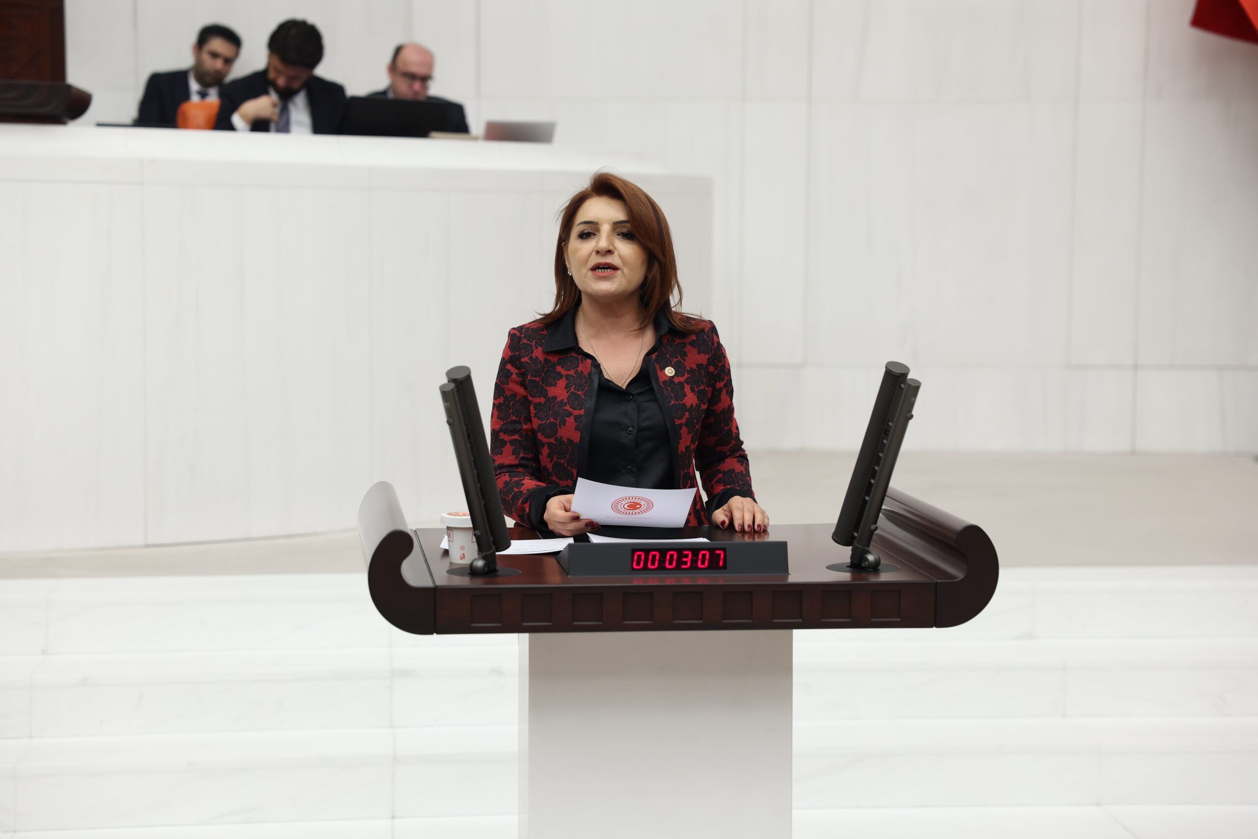 GÜLCAN KIŞ:“Vatandaş gelir kapısı değildir”