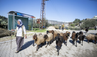 BÜYÜKŞEHİR’İN PROJESİNDE KUZULAR ARTTIKÇA ÜRETİCİNİN YÜZÜ GÜLÜYOR