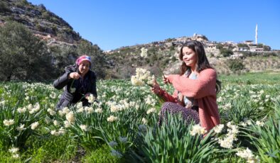 BÜYÜKŞEHİR ATIL ARAZİLERİ NERGİS SOĞANI İLE DEĞERLENDİRİYOR