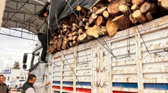 Mersin’de Orman Kaçakçılığına Geçit Yok: 9 İlçede Dev Operasyon!