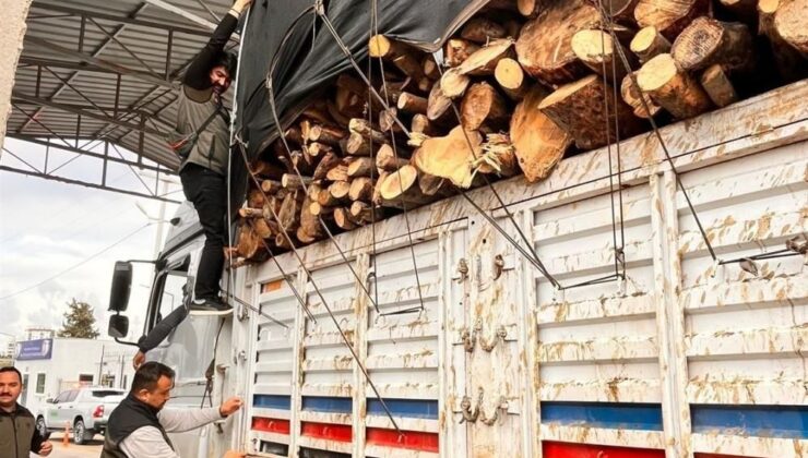 Mersin’de Orman Kaçakçılığına Geçit Yok: 9 İlçede Dev Operasyon!