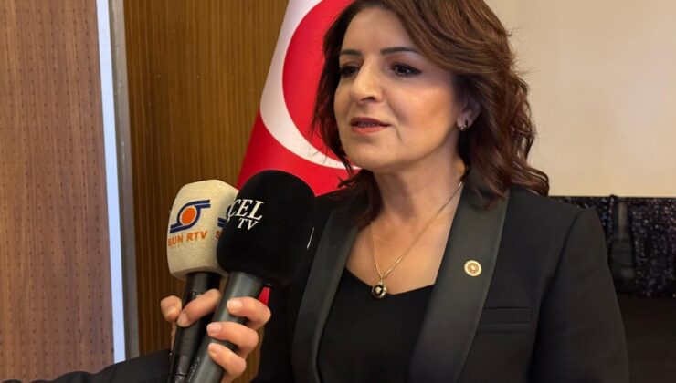 GÜLCAN KIŞ “VATANDAŞ İCRALIK, İKTİDAR SEYİRCİ”