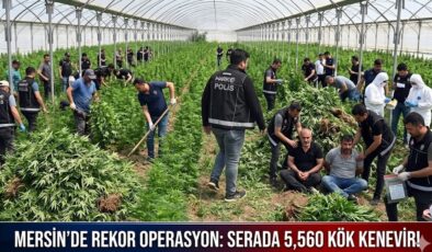 Mersin’de Dev Operasyon: Serada Binlerce Kök Kenevir Ele Geçirildi