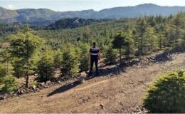 Mersin’de ormanlara giriş 30 Ekim’e kadar yasak