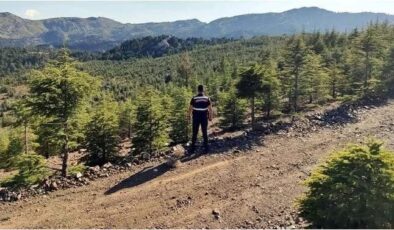 Mersin’de ormanlara giriş 30 Ekim’e kadar yasak