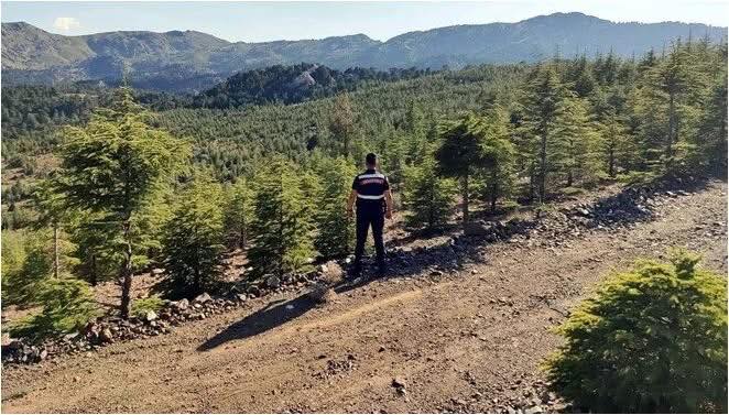 Mersin’de ormanlara giriş 30 Ekim’e kadar yasak