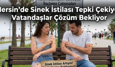 Mersin’de Sinek İstilası Tepki Çekiyor! Vatandaşlar Çözüm Bekliyor