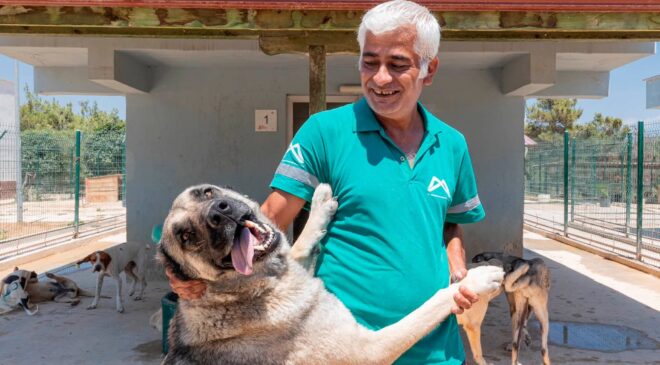 Büyükşehir Silifke Rehabilitasyon ve Yaşam Alanı Can Dostların Güvenli Limanı
