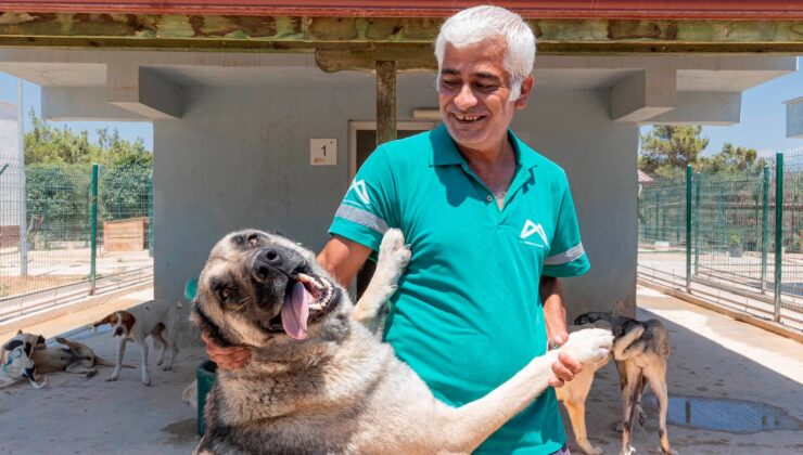 Büyükşehir Silifke Rehabilitasyon ve Yaşam Alanı Can Dostların Güvenli Limanı