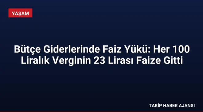 Bütçe Giderlerinde Faiz Yükü: Her 100 Liralık Verginin 23 Lirası Faize Gitti