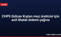 CHPli Gülcan Kıştan muz üreticisi için acil ithalat önlemi çağrısı