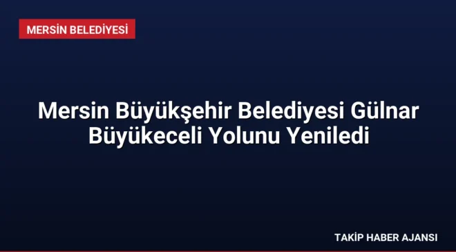 Mersin Büyükşehir Belediyesi Gülnar Büyükeceli Yolunu Yeniledi