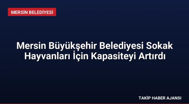 Mersin Büyükşehir Belediyesi Sokak Hayvanları İçin Kapasiteyi Artırdı