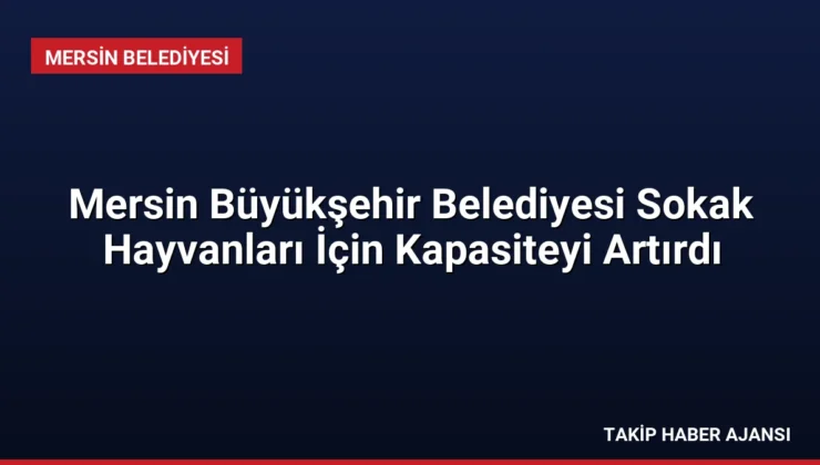 Mersin Büyükşehir Belediyesi Sokak Hayvanları İçin Kapasiteyi Artırdı