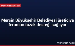 Mersin Büyükşehir Belediyesi üreticiye feromon tuzak desteği sağlıyor