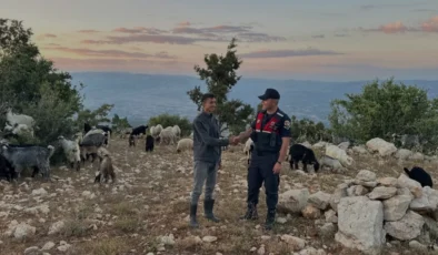 Mersin Jandarması Kayıp Küçükbaş Sürüsünü Drone ile Buldu