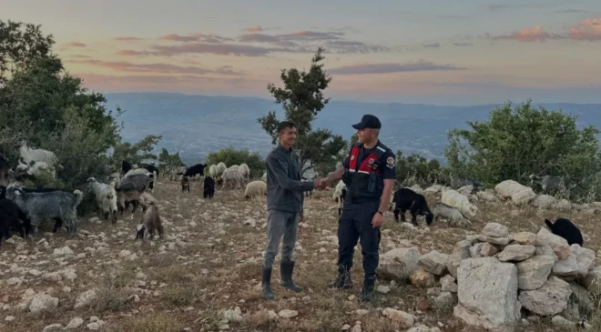 Mersin Jandarması Kayıp Küçükbaş Sürüsünü Drone ile Buldu