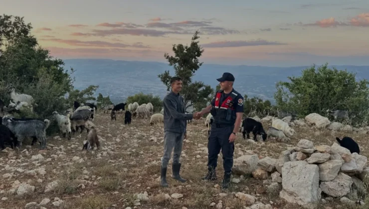 Mersin Jandarması Kayıp Küçükbaş Sürüsünü Drone ile Buldu