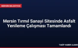 Mersin Tırmıl Sanayi Sitesinde Asfalt Yenileme Çalışması Tamamlandı