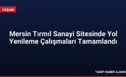 Mersin Tırmıl Sanayi Sitesinde Yol Yenileme Çalışmaları Tamamlandı