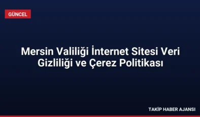 Mersin Valiliği İnternet Sitesi Veri Gizliliği ve Çerez Politikası