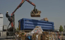 Mersin Yenişehir Belediyesi 11 Bin Ağacı Sıfır Atıkla Kurtardı