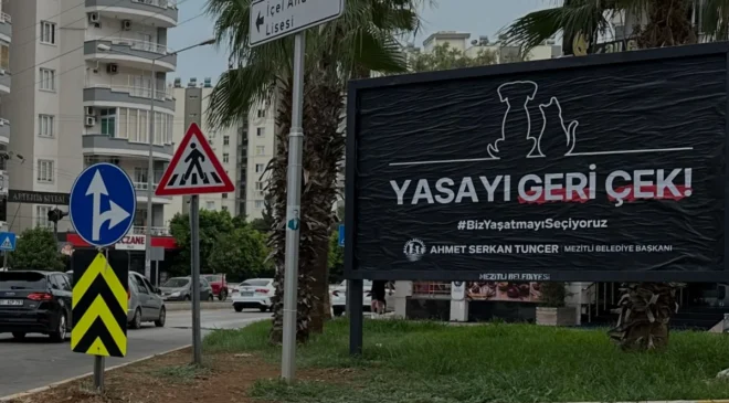 Mezitli Belediye Başkanı Tuncerden Sokak Hayvanları Yasasına Tepki
