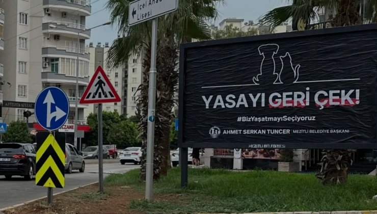 Mezitli Belediye Başkanı Tuncerden Sokak Hayvanları Yasasına Tepki