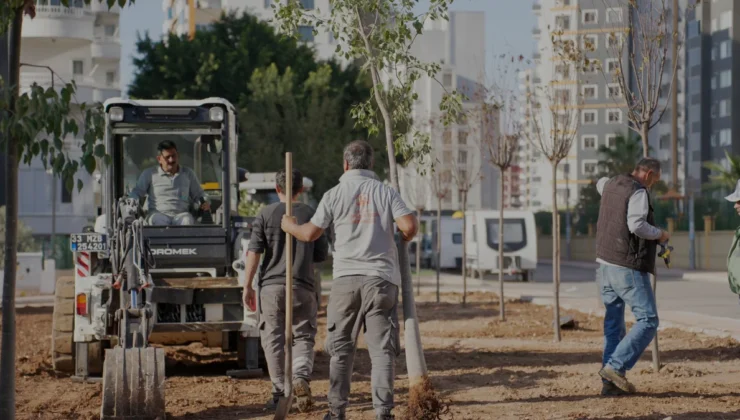 Mezitli Belediyesi Kent Genelinde Ağaçlandırma Hamlesini Sürdürüyor