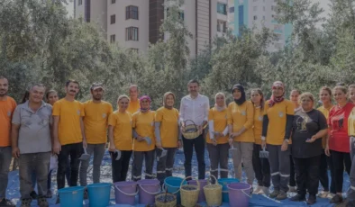 Mezitli Belediyesi Zeytin Hasadından Elde Edilen Geliri Burs Fonuna Aktaracak