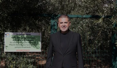 Mezitli Belediyesinden Zeytin Hasadı ile Kız Öğrencilere Burs Desteği