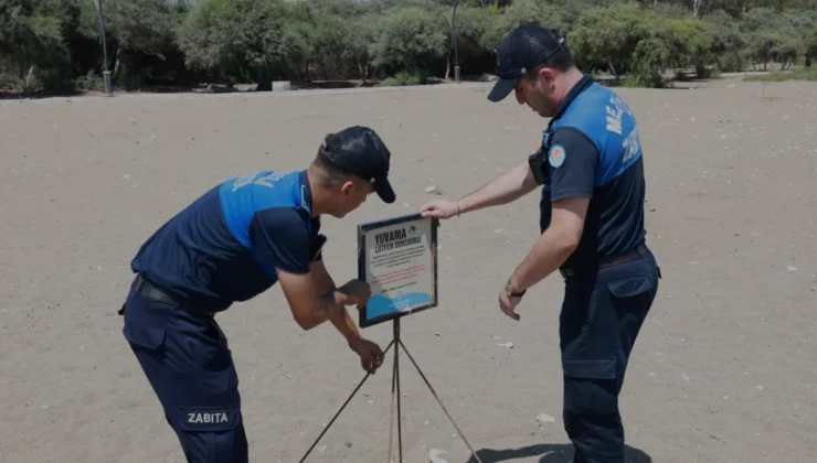Mezitli Sahillerinde Caretta Caretta Yuvaları Koruma Altına Alındı