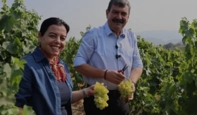 Toroslar Belediyesinden Üreticiye Destek İçin 3 Üzüm Hasadı Şenliği