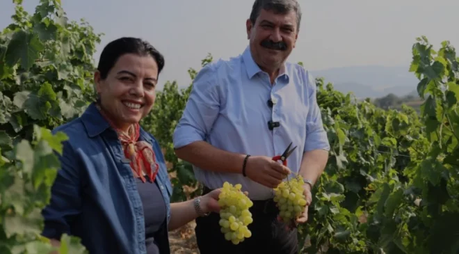 Toroslar Belediyesinden Üreticiye Destek İçin 3 Üzüm Hasadı Şenliği