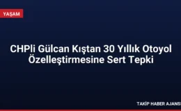 CHPli Gülcan Kıştan 30 Yıllık Otoyol Özelleştirmesine Sert Tepki
