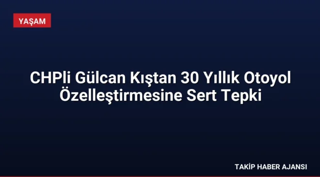 CHPli Gülcan Kıştan 30 Yıllık Otoyol Özelleştirmesine Sert Tepki