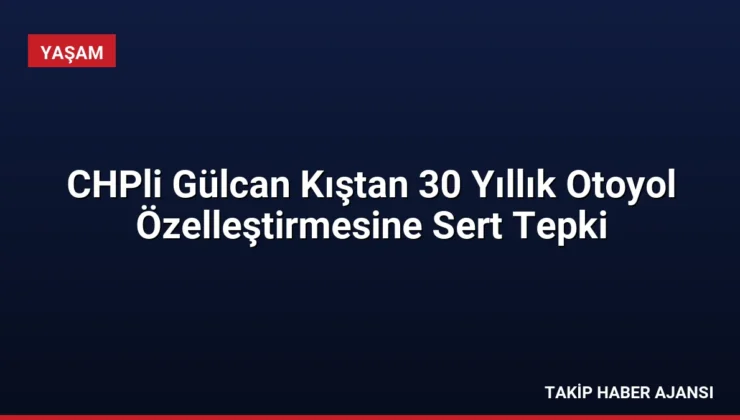 CHPli Gülcan Kıştan 30 Yıllık Otoyol Özelleştirmesine Sert Tepki