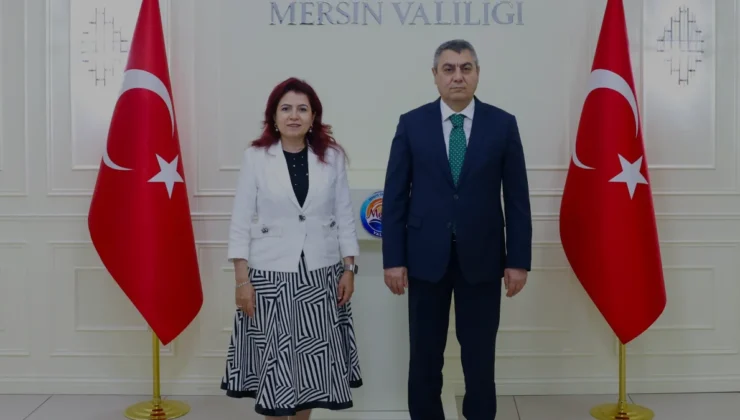 T.C. İçişleri Bakanlığı Web Sitesi Veri ve Çerez Politikası