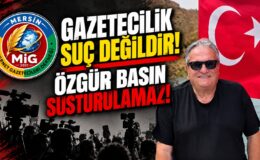 Şehitoğlu: Gazetecilik suç değildir!